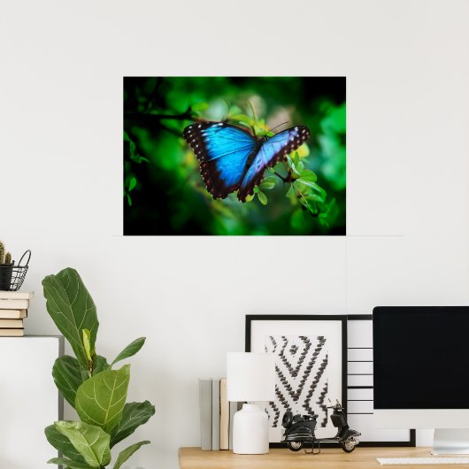 Blue Morpho Butterfly Poster (Heimbüro)