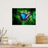 Blue Morpho Butterfly Poster (Küche)