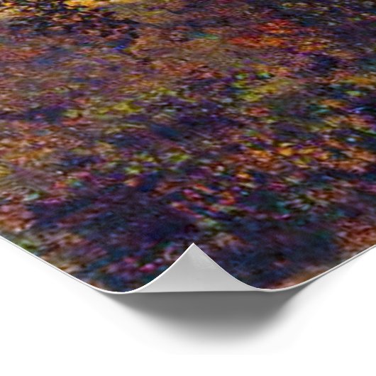 Blue Morpho Butterfly Poster (Ecke)