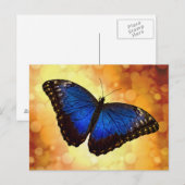 Blue Morpho Butterfly Postkarte (Vorne/Hinten)