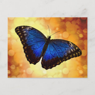 Blue Morpho Butterfly Postkarte