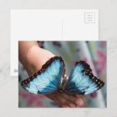 Blue Morpho Butterfly Postkarte (Vorne/Hinten)