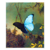 Blue Morpho Butterfly Print Fotodruck (Vorne)