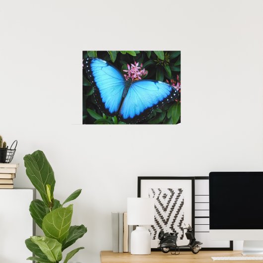 Blue Morpho Butterfly Print Poster (Heimbüro)