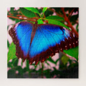 Blue Morpho Butterfly Puzzle (Horizontal)