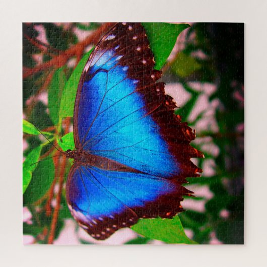 Blue Morpho Butterfly Puzzle (Vertikal)