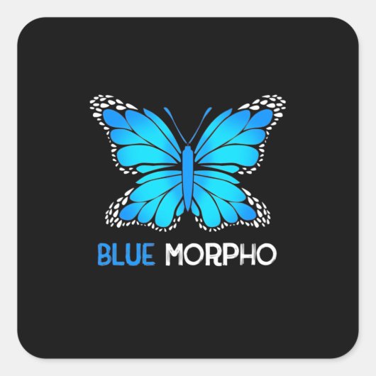 Blue Morpho Butterfly Quadratischer Aufkleber (Vorderseite)