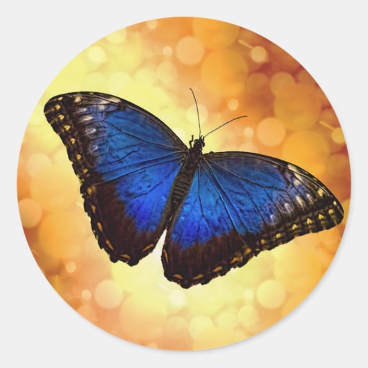 Blue Morpho Butterfly Runder Aufkleber (Vorderseite)