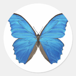 Blue Morpho Butterfly Runder Aufkleber