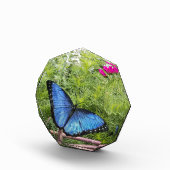 Blue Morpho Butterfly Rustikales Design Fotoblock (Rechts)