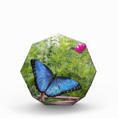Blue Morpho Butterfly Rustikales Design Fotoblock (Vorderseite)