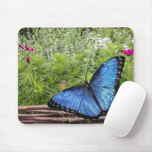 Blue Morpho Butterfly Rustikales Design Mousepad (Mit Mouse)