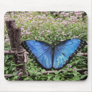 Blue Morpho Butterfly Rustikales Design Mousepad
