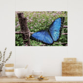 Blue Morpho Butterfly Rustikales Design Poster (Küche)