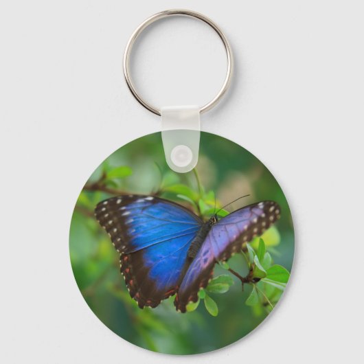 Blue Morpho Butterfly Schlüsselanhänger (Vorderseite)