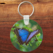 Blue Morpho Butterfly Schlüsselanhänger (Vorderseite)