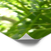 Blue Morpho Butterfly Tropical Nature Fotografy Poster (Ecke)