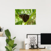 Blue Morpho Butterfly Tropical Nature Fotografy Poster (Heimbüro)