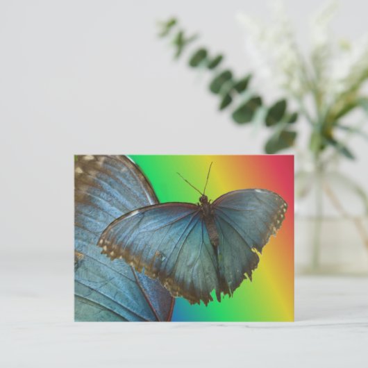 Blue Morpho Butterfly & Wing DIY Postkarte (Stehend Vorderseite)