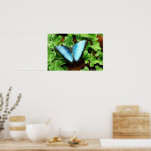 Blue Morpho Print Poster (Küche)