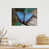 Blue Morpho Print Poster (Küche)