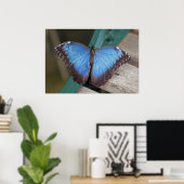 Blue Morpho Print Poster (Heimbüro)