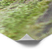 Blue Morphos Poster -36x24 - andere Größen verfügb (Ecke)