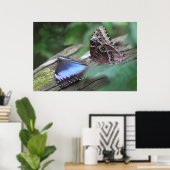 Blue Morphos Poster -36x24 - andere Größen verfügb (Heimbüro)