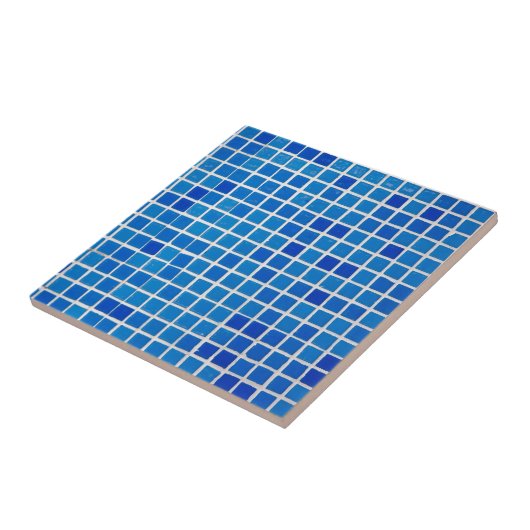 Blue Mosaic Tile Fliese (Seite)