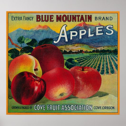 Blue Mountain Apple Crate LabelCove, OR Poster (Vorne)