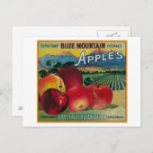 Blue Mountain Apple Crate LabelCove, OR Postkarte (Vorne/Hinten)