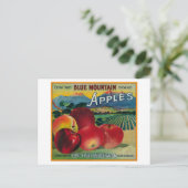 Blue Mountain Apple Crate LabelCove, OR Postkarte (Stehend Vorderseite)