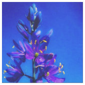 Blue Mountain Camas-Teppich Stoff (Nahaufnahme)