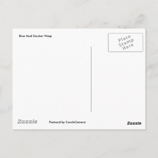 Blue Mud Dauber Wasp Postcard Postkarte (Rückseite)