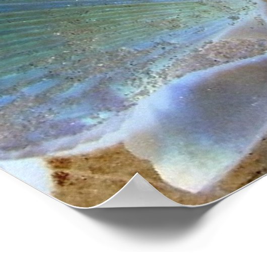 Blue Muscheln Leinwand Art Poster (Ecke)