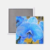 Blue Mystique Orchid Magnet (Vorderseite/Rückseite)