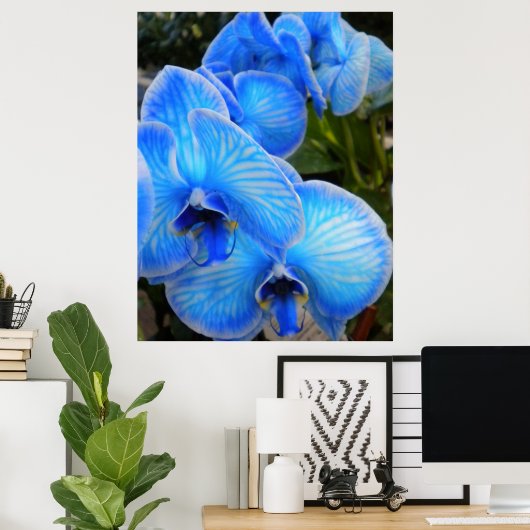 Blue Mystique Orchids Poster (Heimbüro)