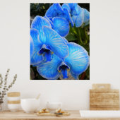 Blue Mystique Orchids Poster (Küche)