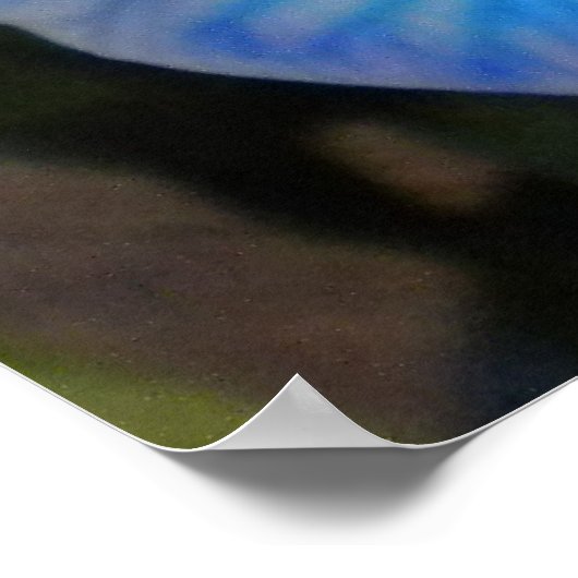 Blue Mystique Orchids Poster (Ecke)