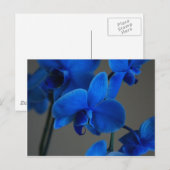 Blue Mystique Postkarte (Vorne/Hinten)