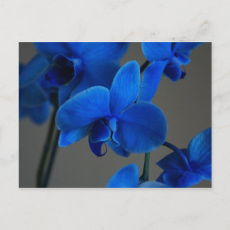 Blue Mystique Postkarte
