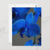 Blue Mystique Postkarte (Vorne/Hinten)