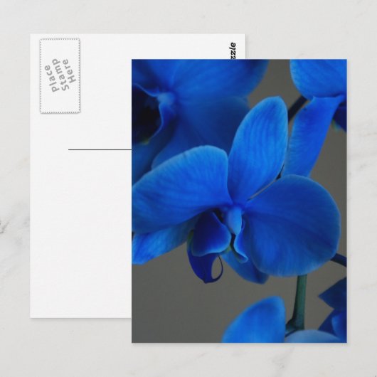 Blue Mystique Postkarte (Vorne/Hinten)