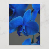Blue Mystique Postkarte (Vorderseite)