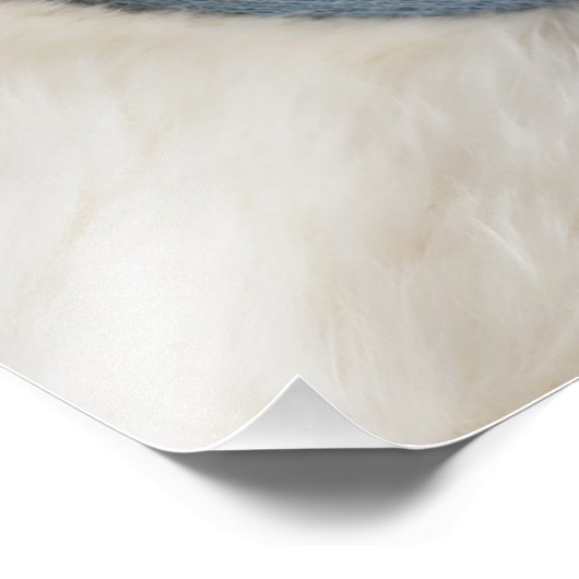 Blue Name Birth Date Script Baby Foto Print (Ecke)