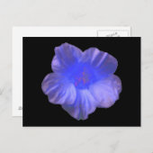 Blue Nasturtium Blume Postkarte (Vorne/Hinten)