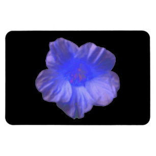 Blue Nasturtium Blume Premium Magnet