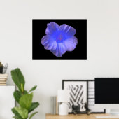 Blue Nasturtium Blume Print Poster (Heimbüro)