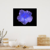 Blue Nasturtium Blume Print Poster (Küche)