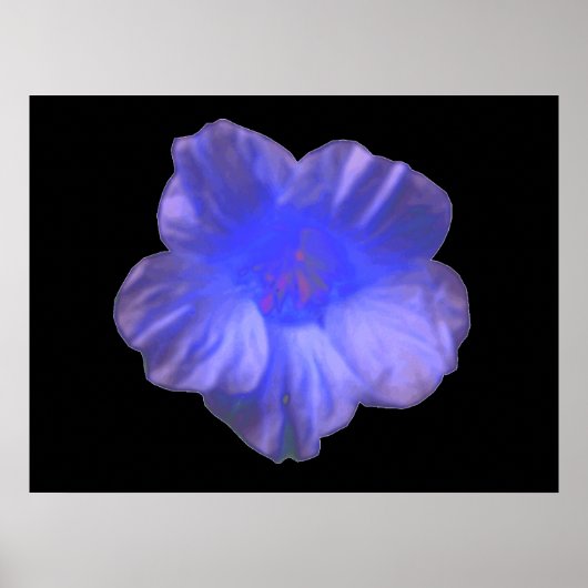 Blue Nasturtium Blume Print Poster (Vorne)